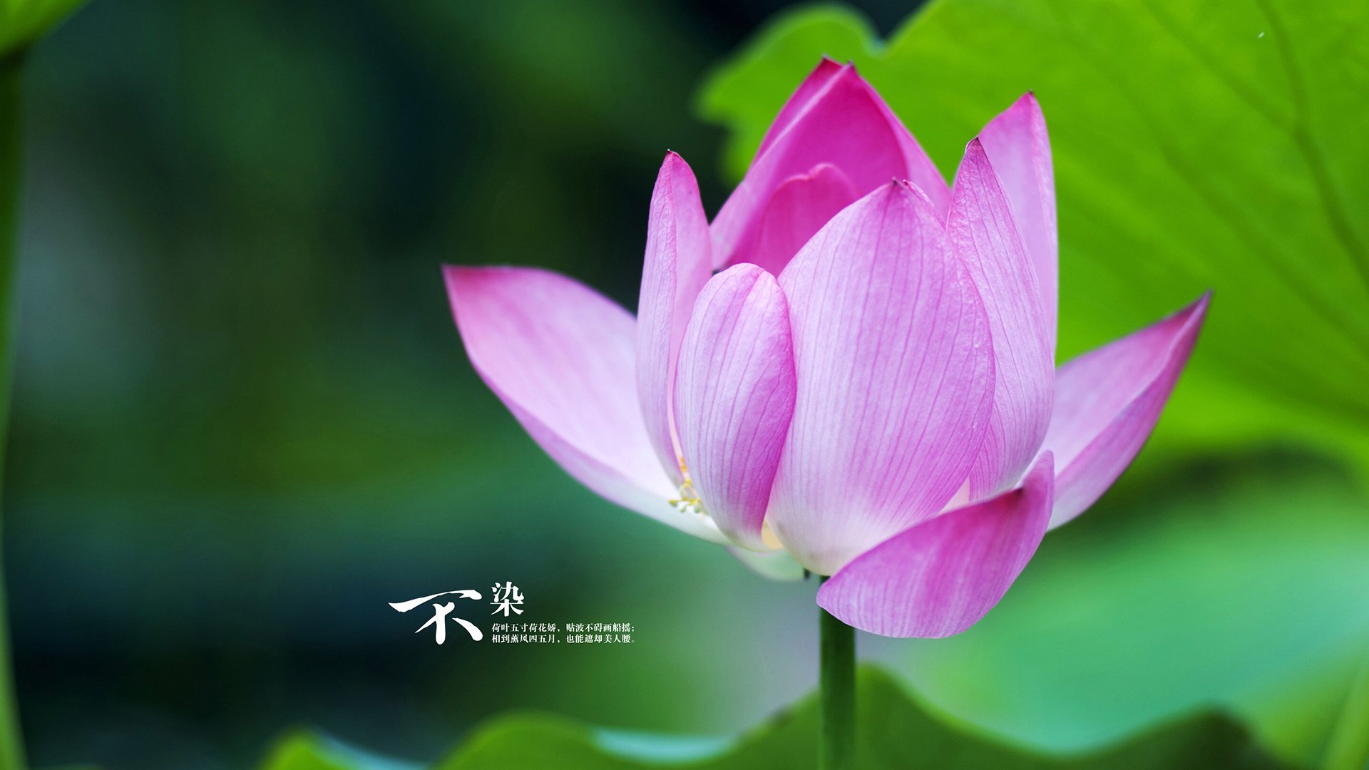 中超球队球员心理分析,中超球员身体素质