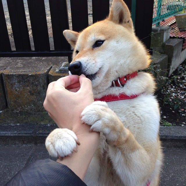 乐鱼官方登录入口-传统豪门的崛起：曾经的超级球队逐步复苏，豪门超级联赛