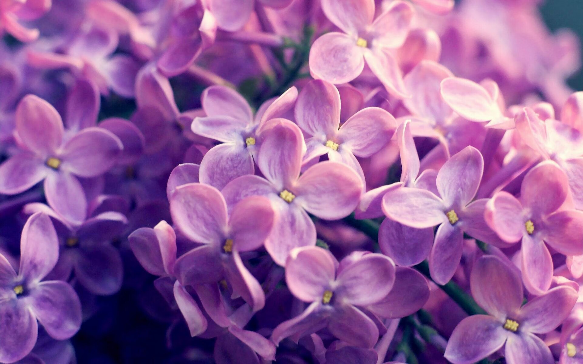 乐鱼电竞在线平台登录入口-高校运动损伤预防知识普及效果评估与改进策略，运动损伤与防治试课题答案