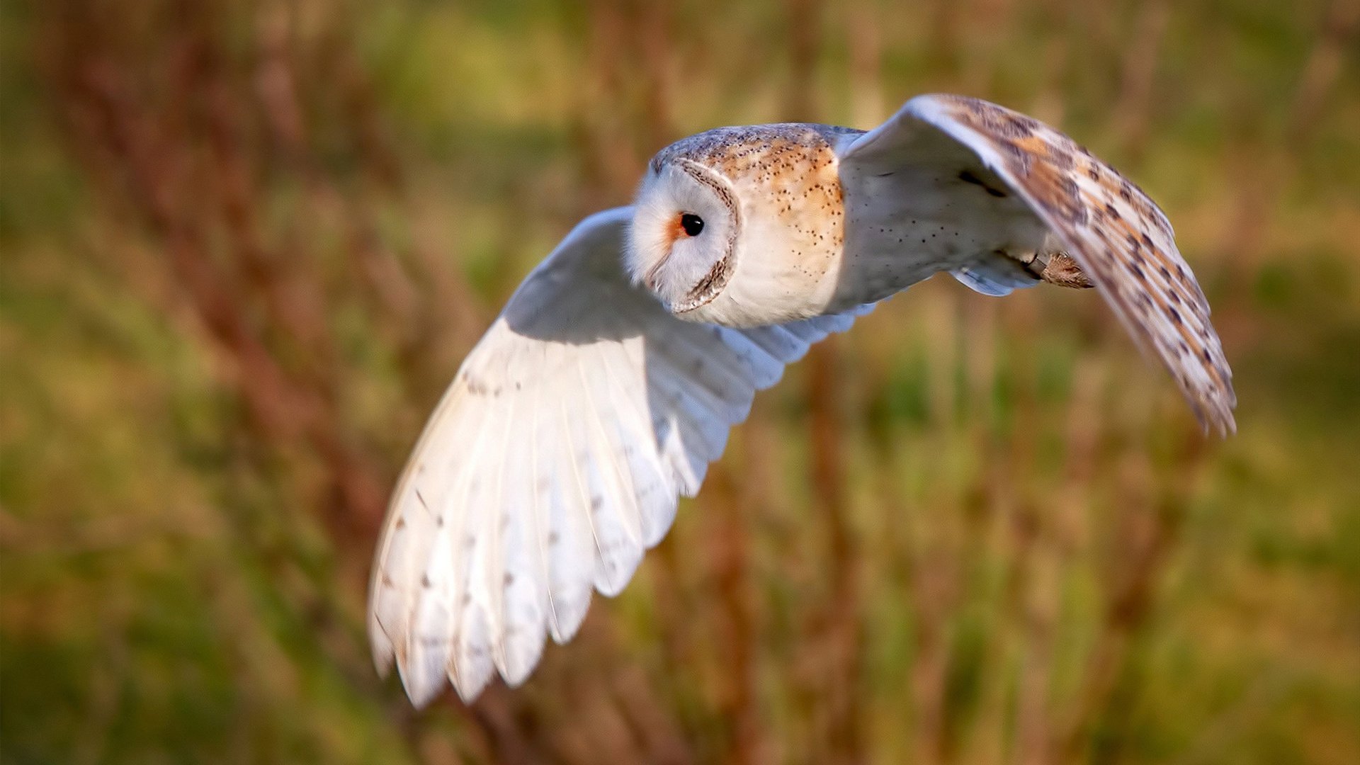 乐鱼体育-“2025世界运动会：东部新区六人制袋棍球惊艳亮相”
