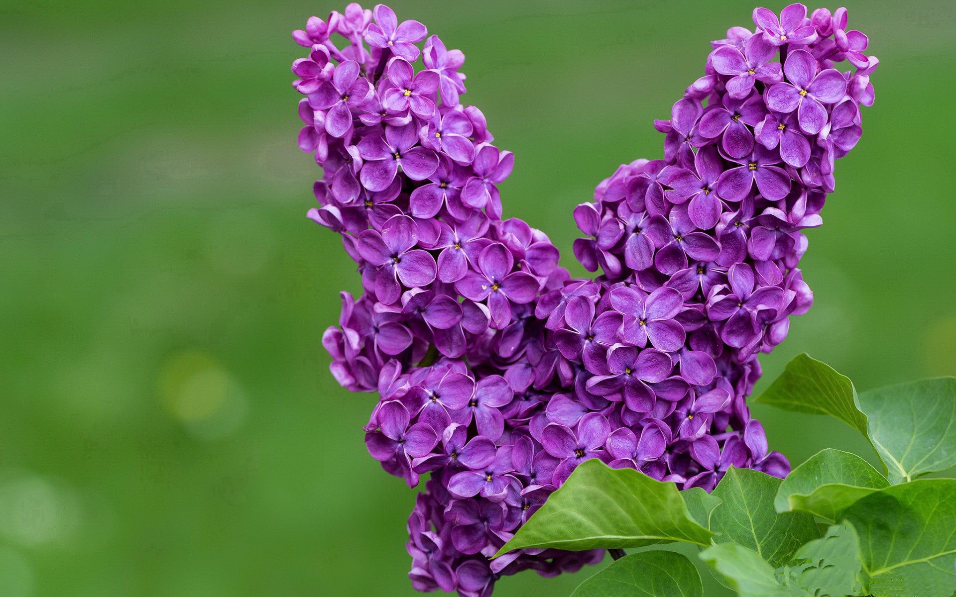 五大联赛是否调整边锋传球角度扩大禁区渗透范围,五大联赛威胁传球榜