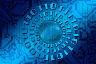 leyu.com-大数据应用助力训练科学管理，大数据在训练管理中的应用