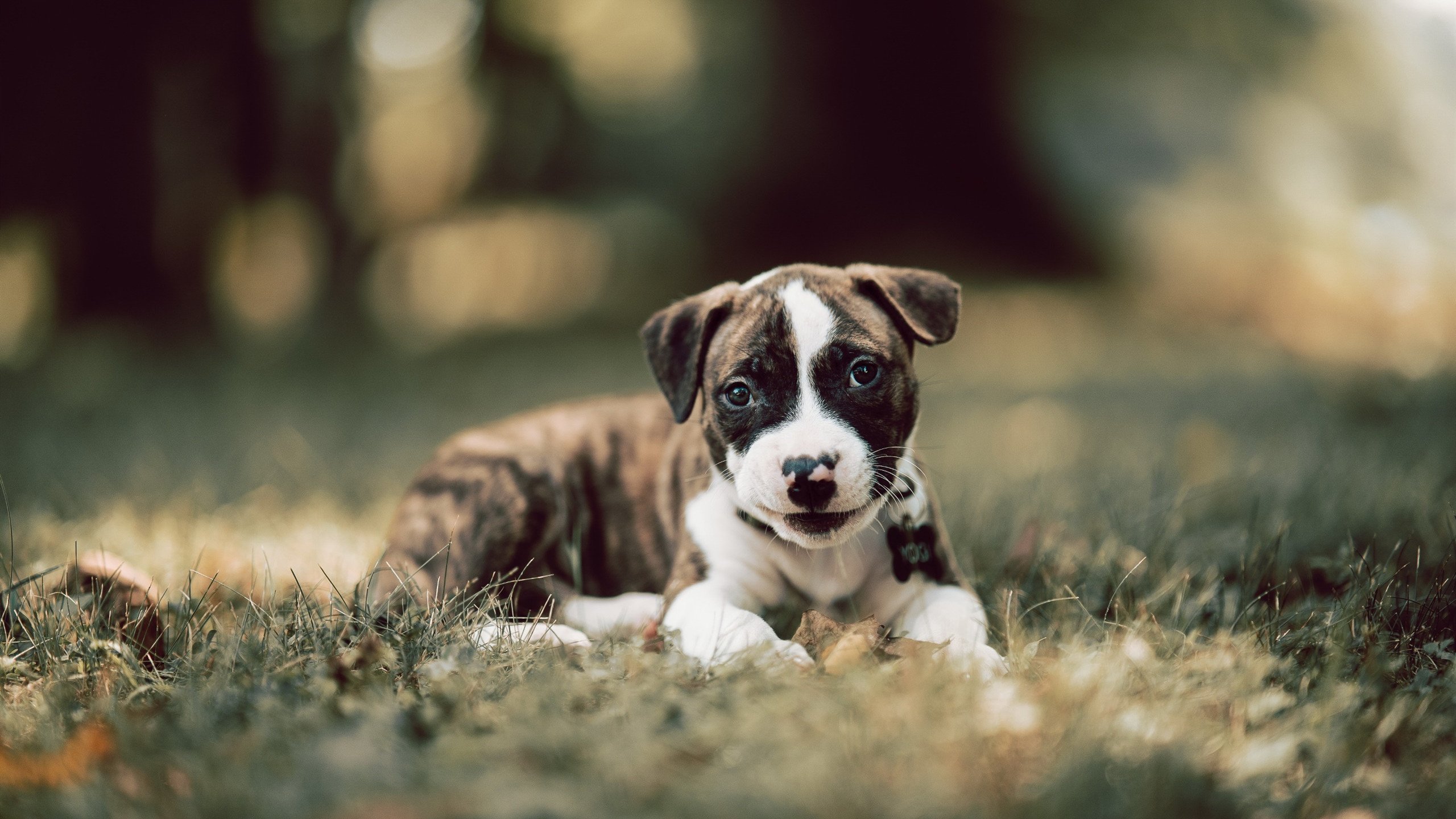 皇家社会传控精准压缩对方进攻区域,皇家社会在实况