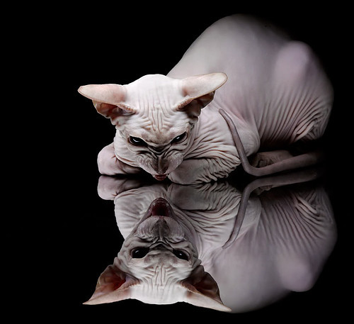 乐鱼官方登录入口-场边加装高清摄像头采集战术数据提供精准比赛复盘素材