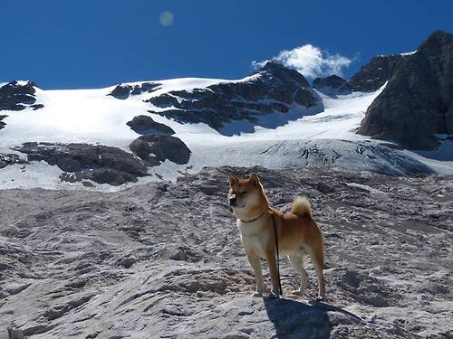 乐鱼电竞在线平台登录入口-梅西在世界杯预选赛中表现出色，国家队战绩喜人