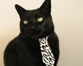 男篮国家队主帅强调个体防守技术再提升，男篮国家队队员