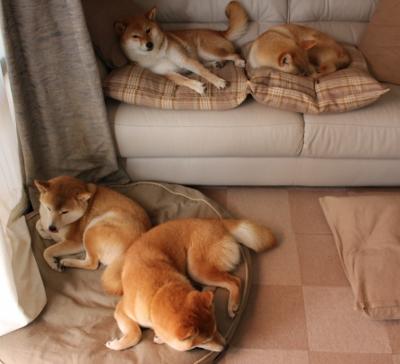 篮网训练服饰设计获时尚博主好评,nba篮网队训练服